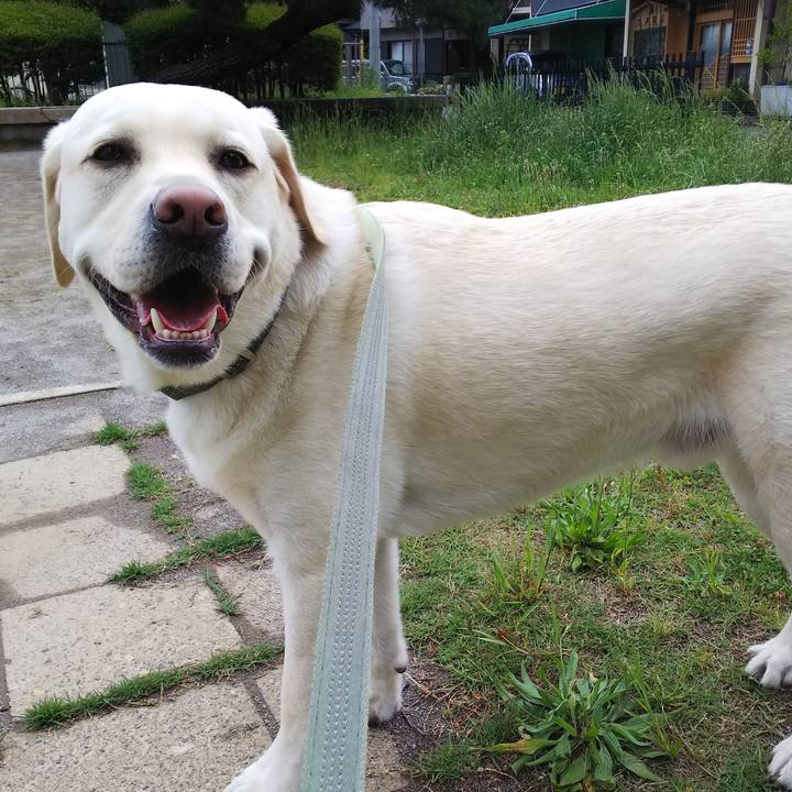 2637e21e ca75 4b7a a0bb 5f260d908c84 1527143916608