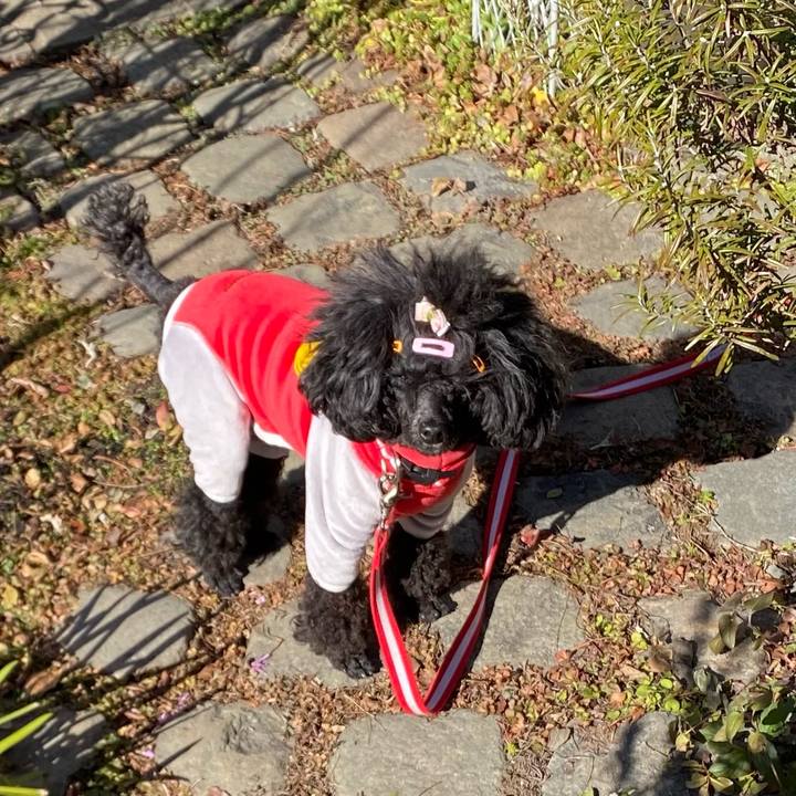 2637fac5 1de4 422a bfc8 27e0e8e82a21 1642729829299