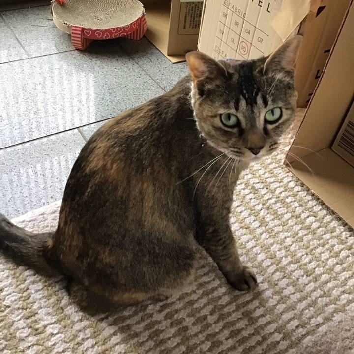 26382a8d cc36 412b bdc6 ebbb1f2629e1 1619941395930