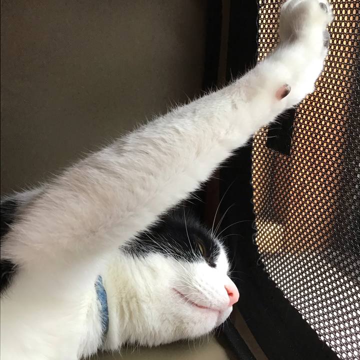 2638374c d563 4be7 ab22 5619b327ffa0 1719476539914