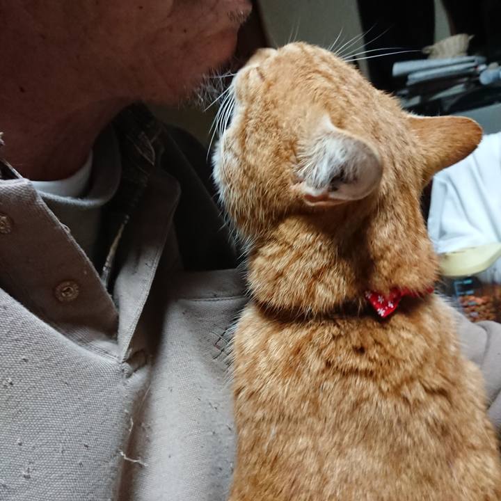 26383893 21ce 444e 9d22 9bba9b4105a0 1578004062313