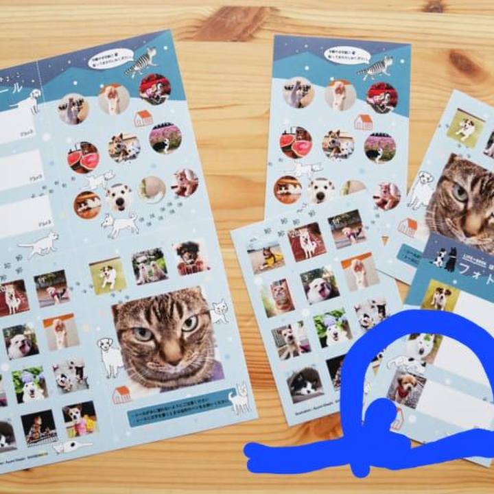 263854da 7bc5 44d5 bf9c f846d7fbe757 1668419376912