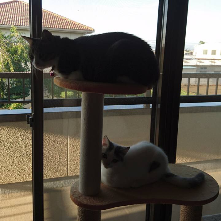 26385ef6 19bc 4c30 bc36 be719aac5a91 1534652278288