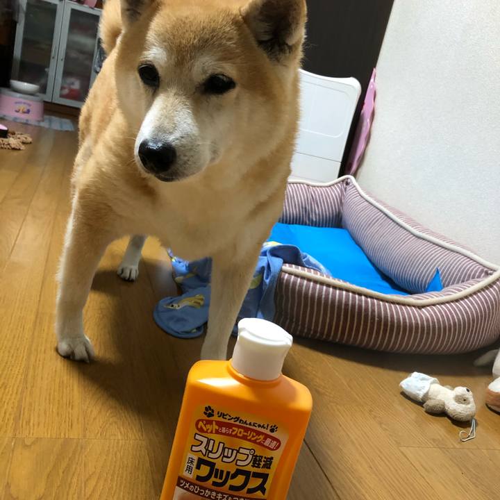 26385f8a 4299 49ea 8a1c 3407a73b375d 1593946376094