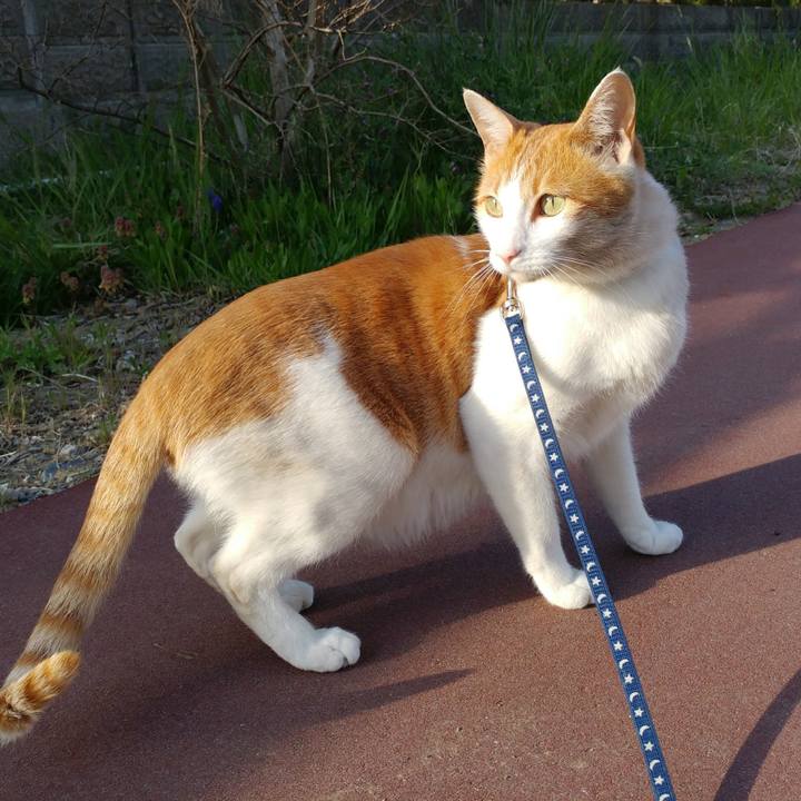 26386915 4a00 49c6 abe8 374514ba1804 1524395651942