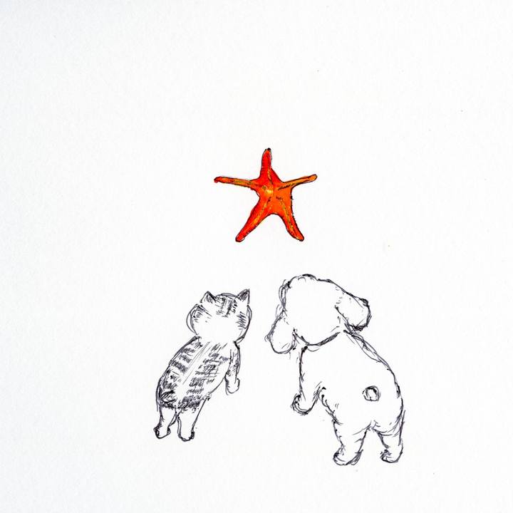 26387628 e318 42e1 a7e4 b8b3b81ad3f0 1598089553703