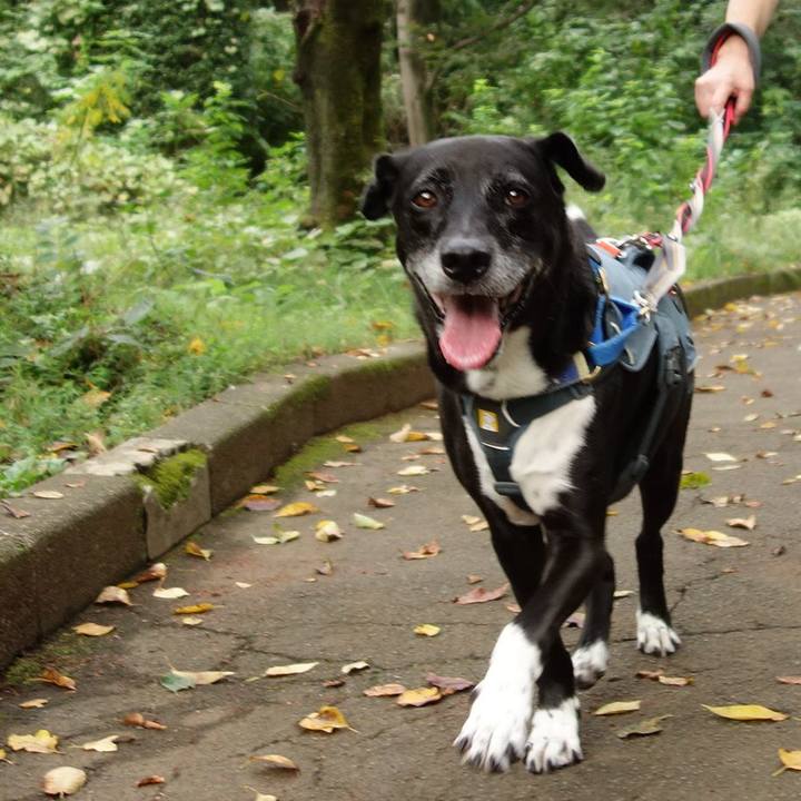 26388772 e217 4a7e a7a4 fb8311f097f6 1726875924729