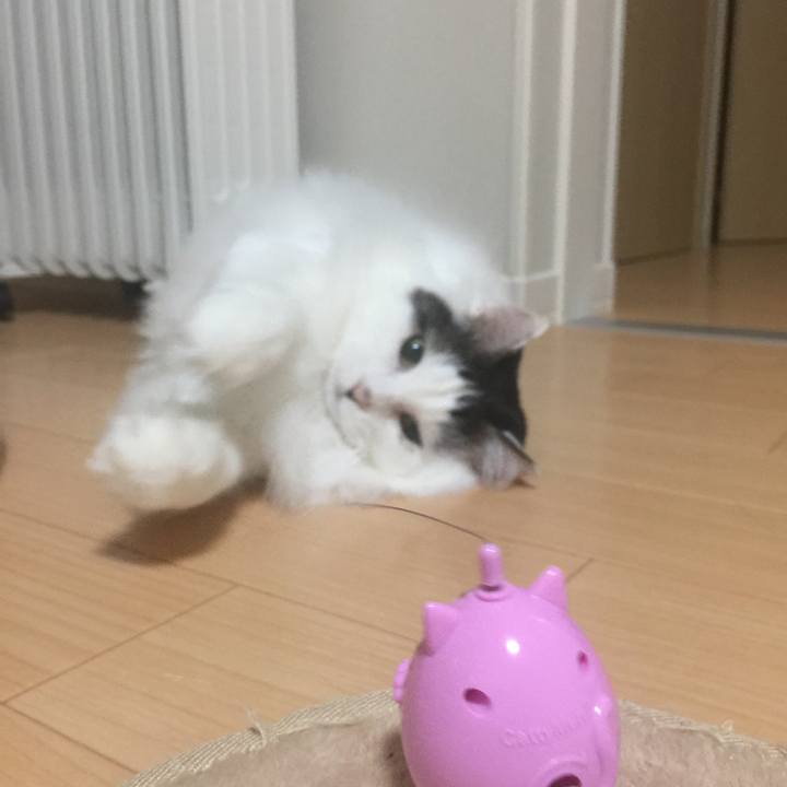 263894ba b696 41c2 9232 b81e392b16dd 1522245454322