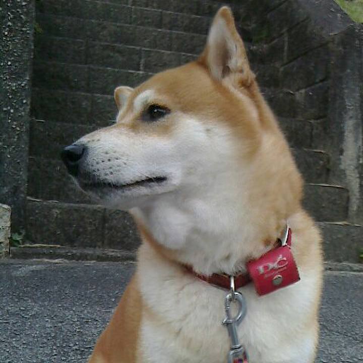 263895a2 bd3e 4b2b a7cf 668ec963f52b 1508042996013