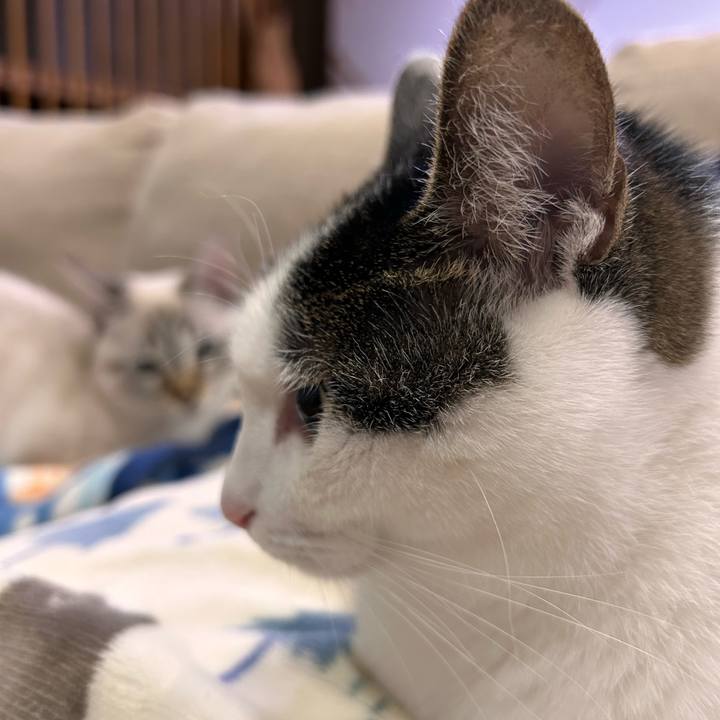 2638b008 2f2d 49aa 9e28 029952f3d82a 1733488170781