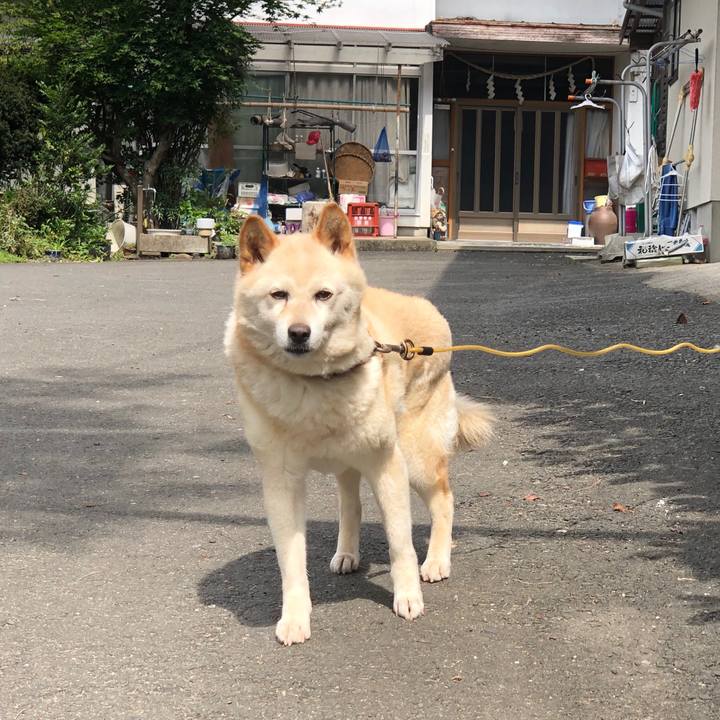 26395991 c908 4e26 8246 946f6bdaede6 1567329080503