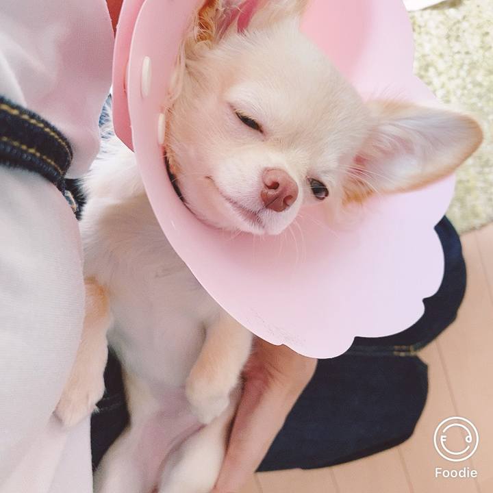 2639d022 8159 42b8 b9c9 30eb4b9a6558 1599270114268