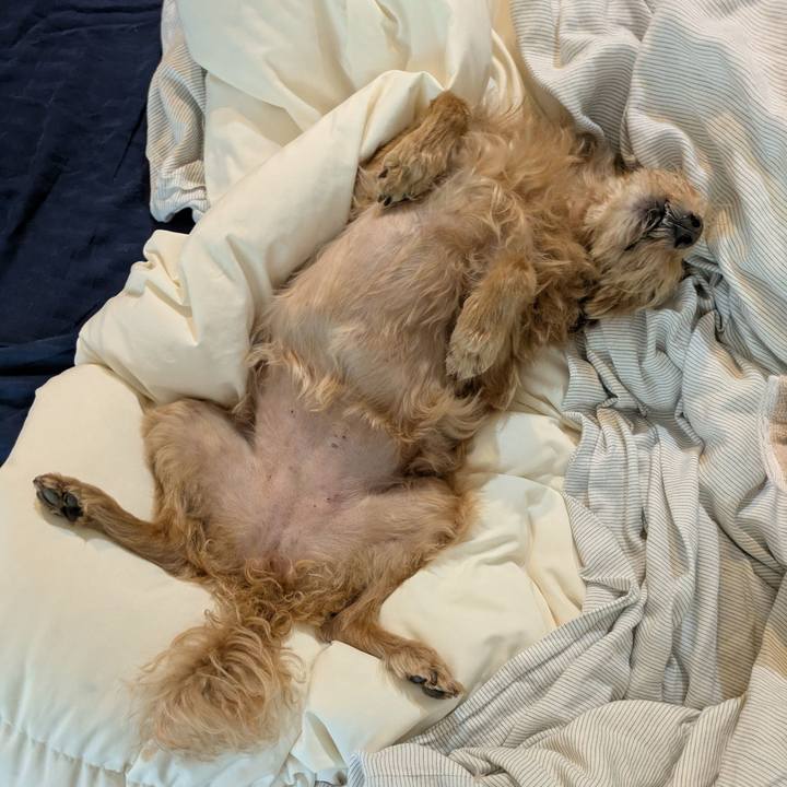 2639e42e 4f20 4932 93e2 5029dbbed89e 1757370698571