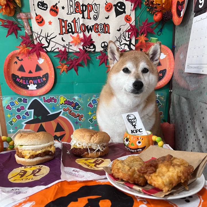 263a0a51 40fd 497b 9c00 2e471fbf0c92 1694496228276