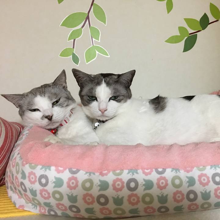 263a22ba 54c0 4420 8e9e 585880dec969 1511078167160