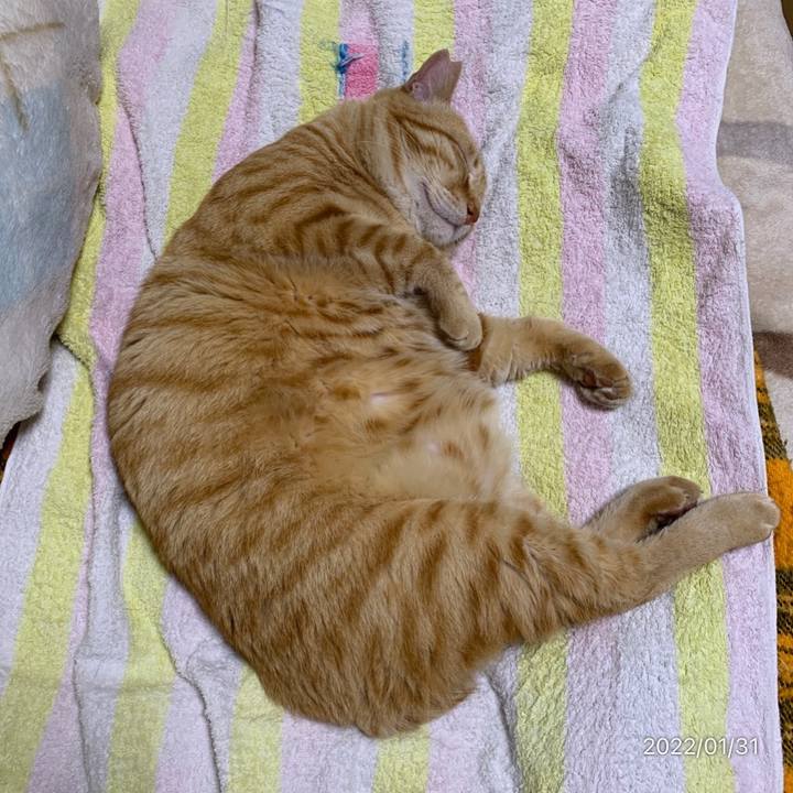 263a5fd1 05f2 4fd2 bee4 76231b1678e1 1643638306437