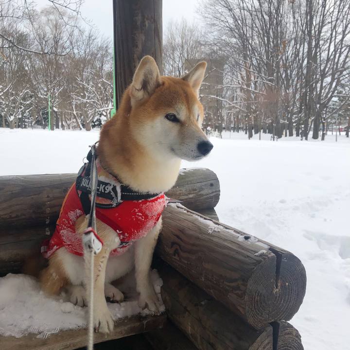 263a7d50 6284 4f7b 9fdb 3e1049706c90 1548637150705