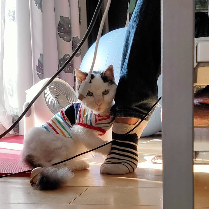 263aaba6 ed48 4770 a987 2de3ee829eba 1597561006349