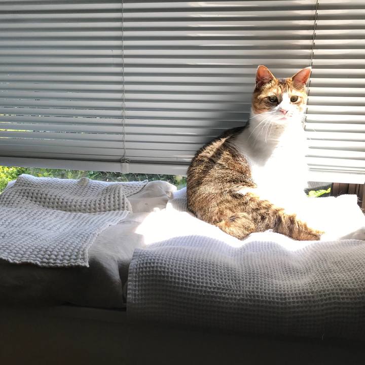 263aba05 65f6 45e8 a7b6 01e86f3dac1b 1558844895830