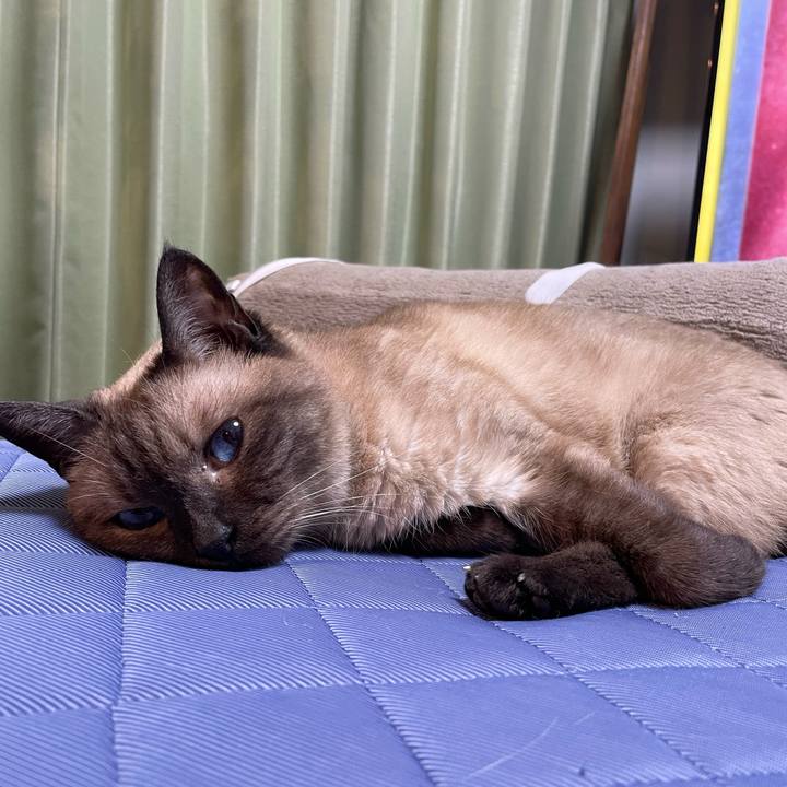 263ac34d 8ab8 4451 9eed bdc9c12b1b7e 1754108327451