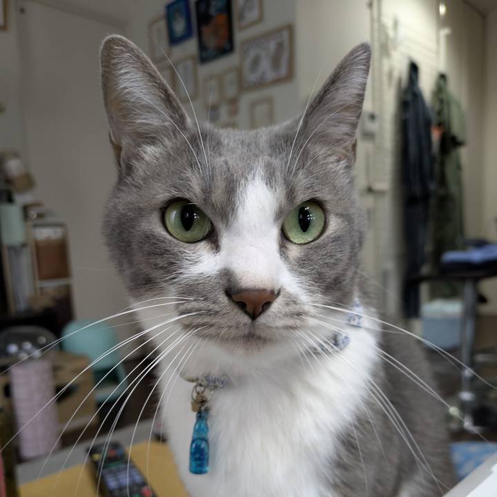 263ad2a4 1719 484c 8803 41c4b986a896 1761027429106