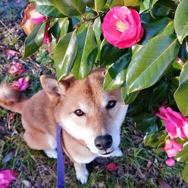 263b1a61 dca4 4940 bb23 a47946399b2b 1580369063581