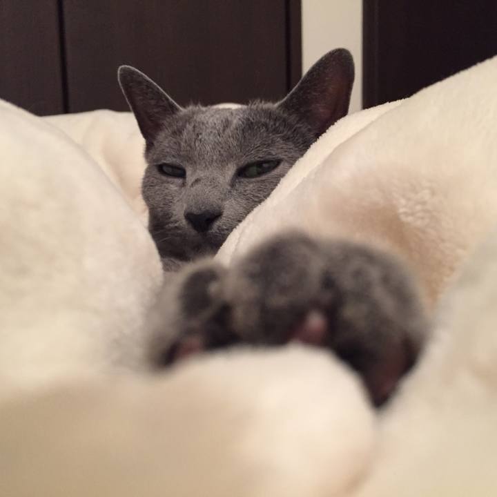 263b2706 61ef 4af6 8f96 d037cfcf4434 1529622624159