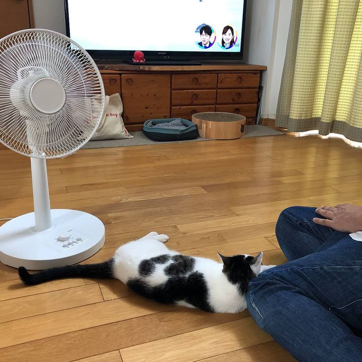 263b2e41 d8ab 40b1 a322 90a054d657fe 1658097439155