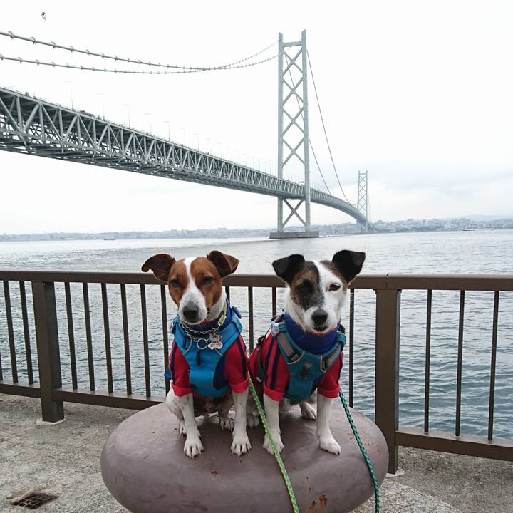 263b9f57 d54c 43a6 b107 f7c0a30dde01 1605850678136