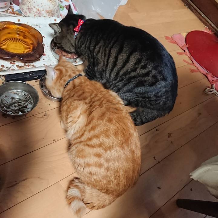 263bb58d 625e 4b1a a04d a37194aff6a0 1641897630249