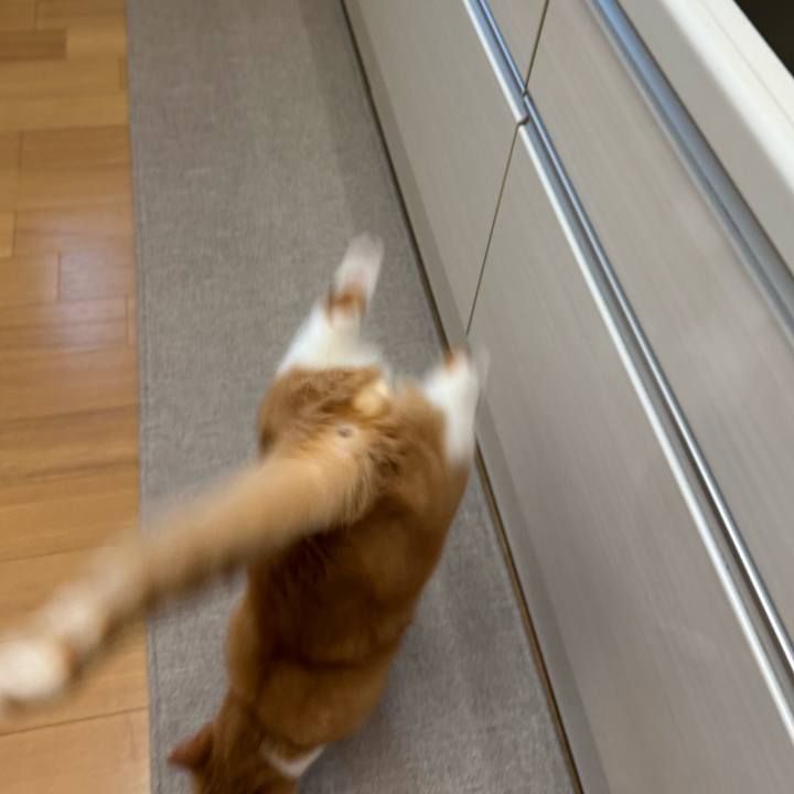 263bc1cc 1ef2 4ee1 bb6b 83e83a444430 1766460532984