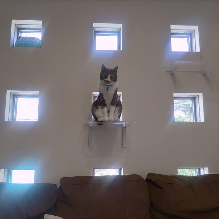 263be20e fa22 4bff 8d66 938cffdaeb05 1653722771321