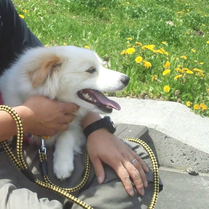 263be362 57b3 440d 90c6 9234649bb006 1550241812042