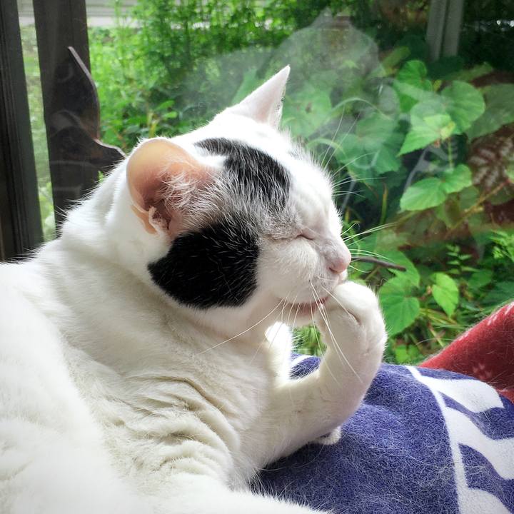 263c267c 5e33 4f8b b948 24dc371c9293 1595219229816