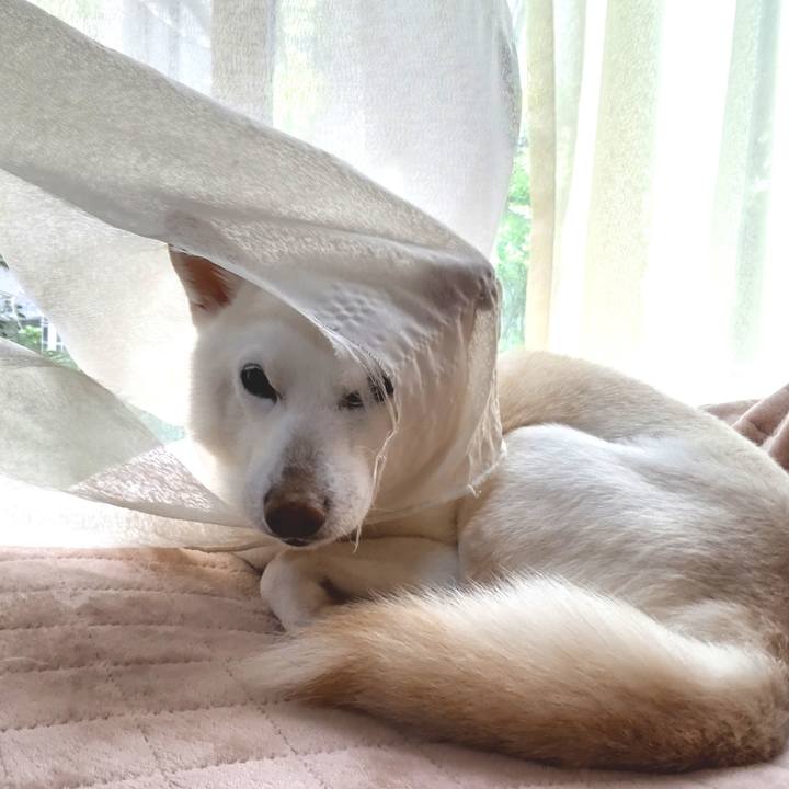 263c897a b440 44ee 98c0 09ba085ec56a 1713668279263