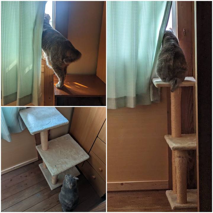 263c8a36 f0b3 470c a33d bc670e7429ad 1715658640595