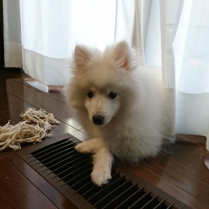 263ca2f0 ab13 40d8 a2b7 629a74745e54 1550038669669