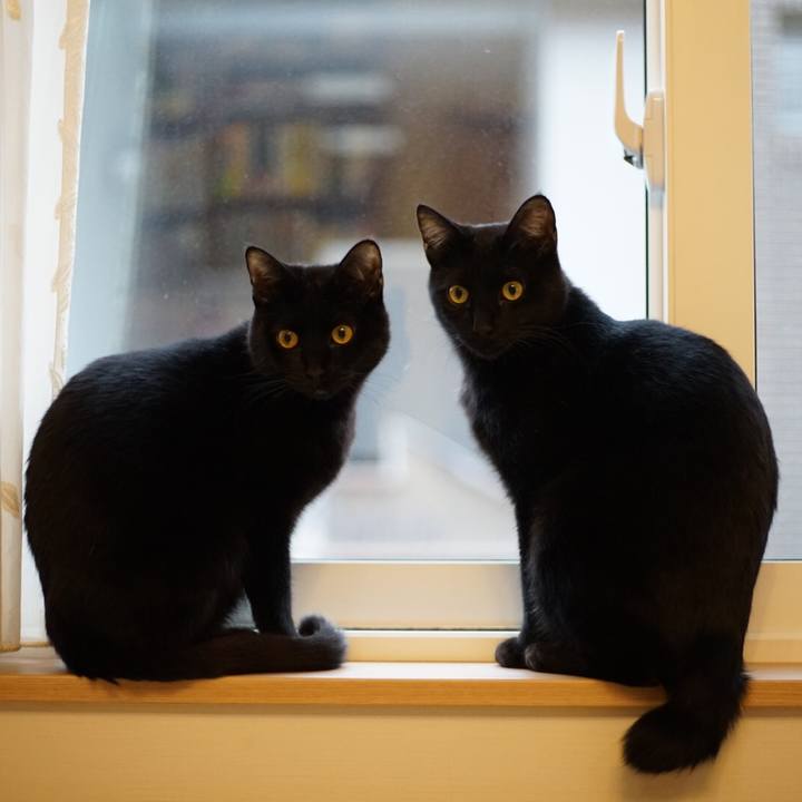 263cdbf7 e24d 41eb ae3d b2066569129c 1519342654654