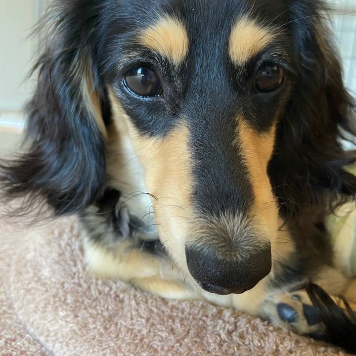 263ce0b7 aed4 454c 895d a7aa02662c80 1677547894430