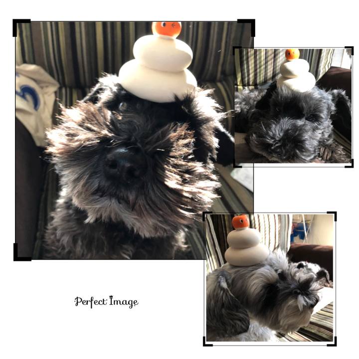 263cf235 3a6c 4b81 a748 8e139385fab0 1577811585960