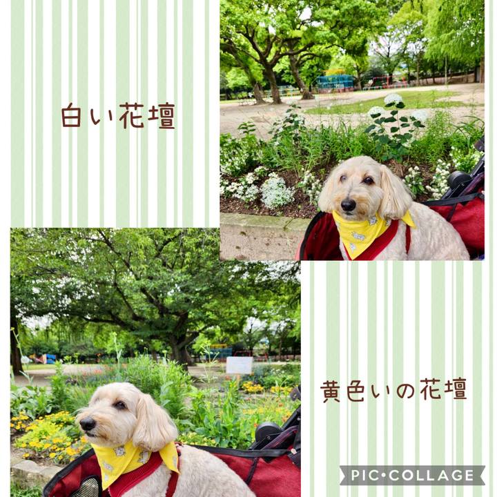 263cf304 8c4b 431f 9e46 399d16891895 1718856230616