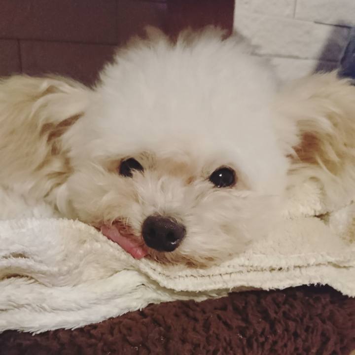 263dd970 23fb 48e0 941c 2c4252a522b1 1560315971211