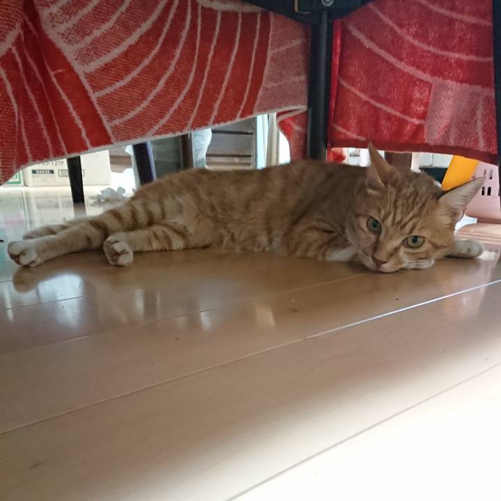 263df1b0 ebaf 461a 820e d3a2738ad00e 1597051190090