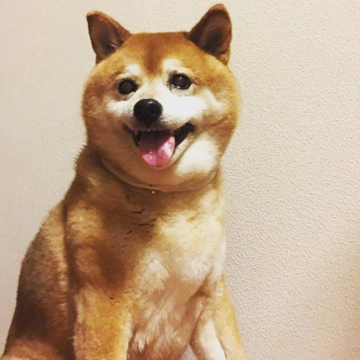 263df2ff 5886 4574 86c7 85fe9f509877 1567346717293