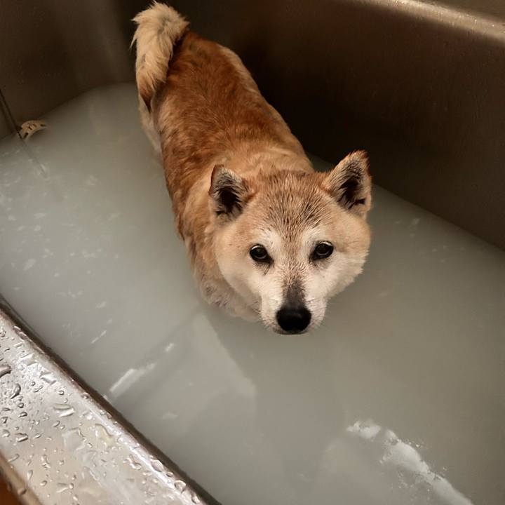 263e133f a818 40f3 a128 0ca9d9451856 1744530701931