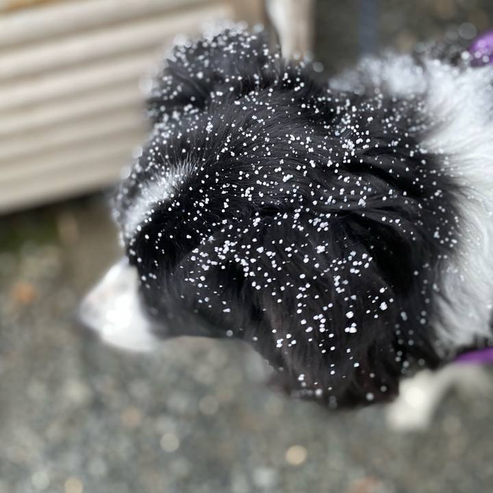 263e2729 ae68 47d4 8786 1e9b18c85629 1674949705351