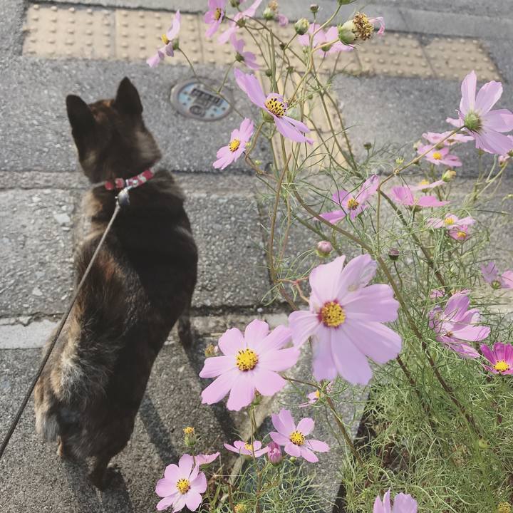 263e5f8f 2df4 4d08 8055 b799d8bbbf49 1538781027879