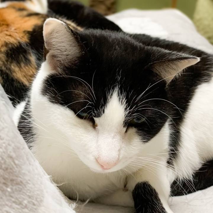 263e7ddd 7d93 4d75 b424 1e3d941ff84b 1578708354224