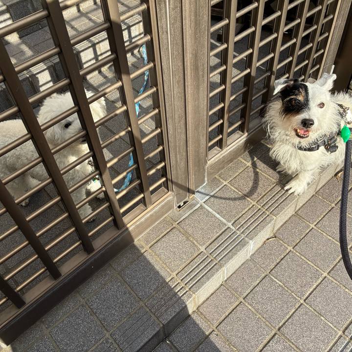 263e8e1c e39e 4597 b48c e153ebe11a57 1759186453677