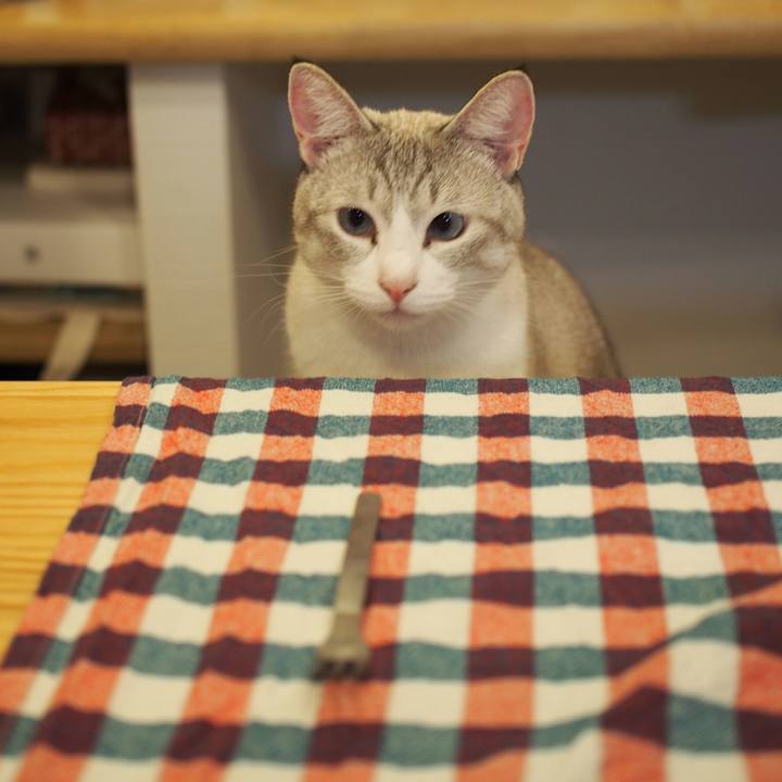 263e98d5 8c52 478e a804 a7147429cc4a 1540881180018